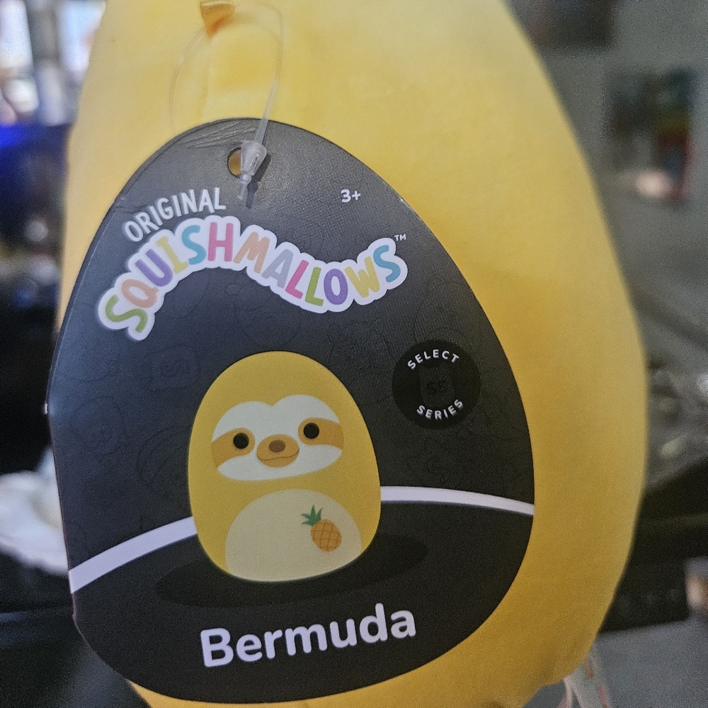 NWT Bermuda the Pineapple ๐ Sloth Select Series Squishmallow 8" - Picture 2 of 9